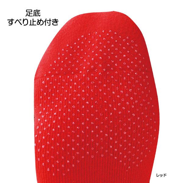 ササキスポーツ SASAKI 一般体操 GYMNASTICS ローソックス SS-3 SS3 靴下 | ササキスポーツ | 02