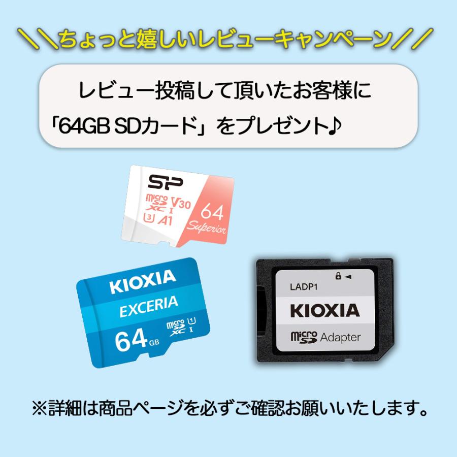 PIXPRO 【保証＋特典あり】Kodak FZ55 ピンク シルバー ブルー レッド