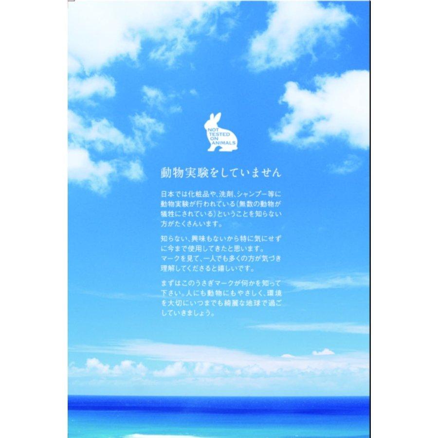 ノンシリコン「めるぽ」オリジナル「トロピカルココナッツシャンプー」ボトル　600ml　ノンシリコン・パラベン不使用・合成着色料不使用 |  | 01