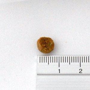 『アーテミス　フレッシュミックス　ウェイトマネジメント　アダルトドッグ　3kg』 |  | 01