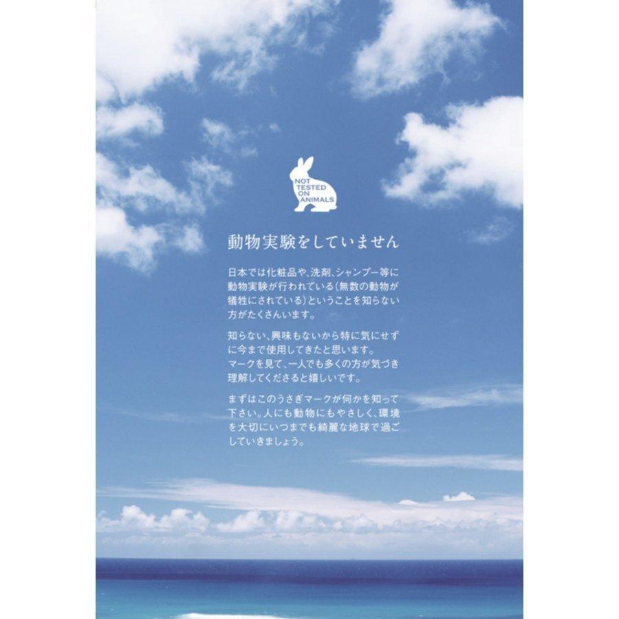 トロピカルココナッツシャンプーボトル＆トリートメントボトルSET　ノンシリコン・合成着色料不使用・NO動物実験 |  | 01