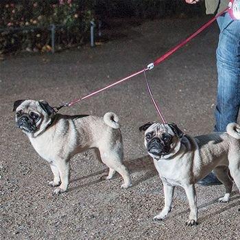 flexi VARIO フレキシリード　デュオベルトS (レッド・グレー) |  | 02