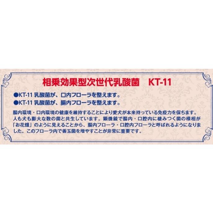 Wish KISS　乳酸菌KT-11　5.4kg(450g×12)　一部地域を除く送料無料　ウィッシュ　ソリューションシリーズ_1