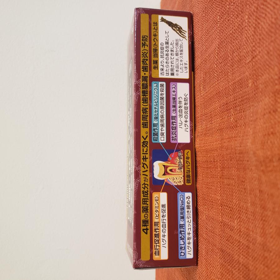 サンスター 薬用 塩ハミガキ 生薬 当帰の力 85g ×8本セット　SUNSTAR　歯磨き粉　まとめ売り　※一部地域を除く送料無料 |  | 01