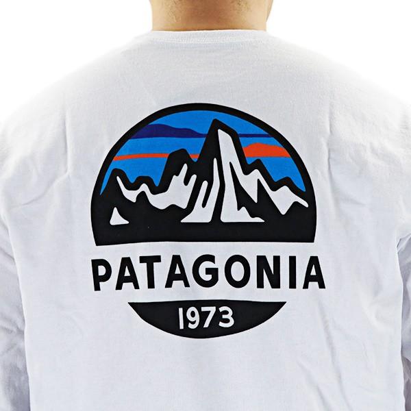 patagonia（パタゴニア） Sleeved Scope Responsibili-Tee 38515 : LaG