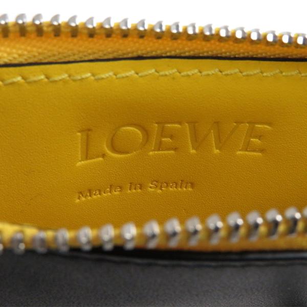 LOEWE（ロエベ） RAINBOW COIN CARD HOLDER レインボー カード コイン