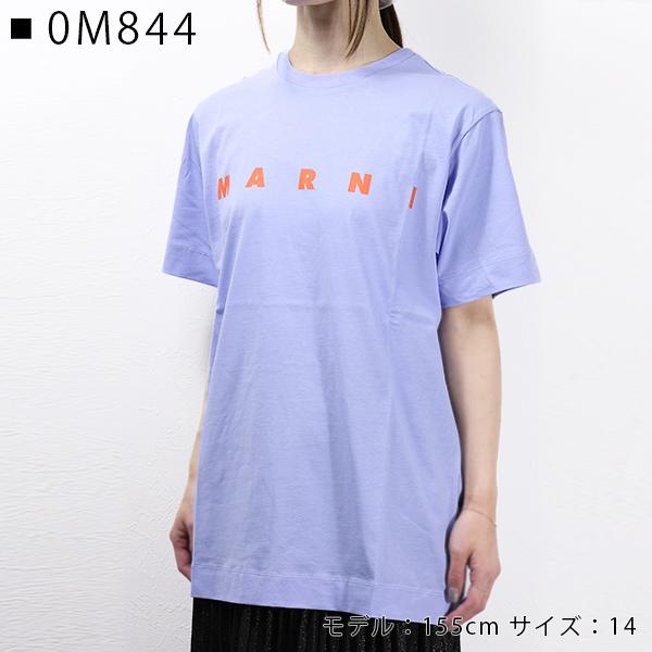 MARNI マルニ LOGO T-SHIRT Tシャツ 半袖 クルーネック ロゴT MARNI マルニ LOGO T-SHIRT Tシャツ 半袖 クルーネック ロゴT