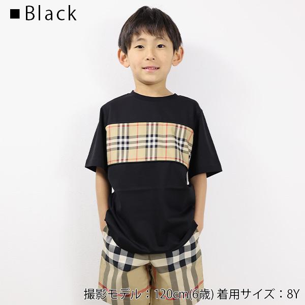 BURBERRY バーバリー 半袖 クルーネック ヴィンテージチェック BURBERRY バーバリー 半袖 クルーネック ヴィンテージチェック