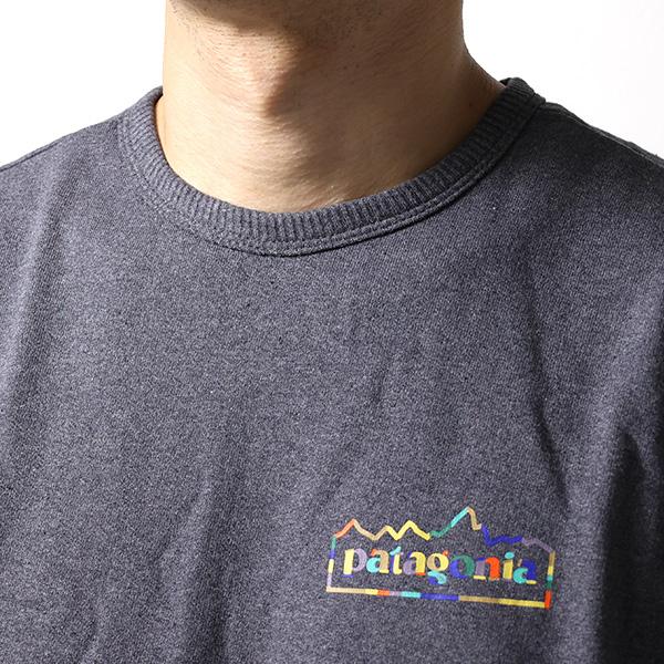 PATAGONIA メンズ 長袖Tシャツ 39687 NENA patagonia Patagonia パタゴニア Mens Lightweight Unity Fitz