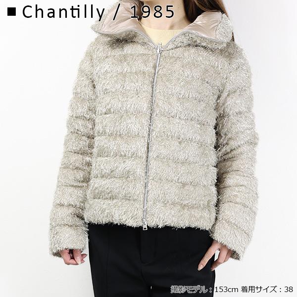 HERNO（ヘルノ） ダウンジャケット PI00160DR12731 レディース フード 