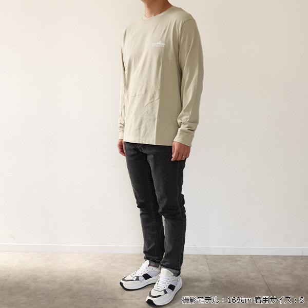 patagonia（パタゴニア） Tシャツ M Long Sleeve Fitz Roy Foothills T