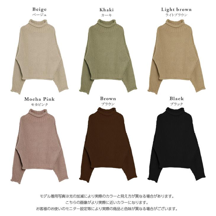 グリーシャ！エポカ40ハイネックカットソ＋ハイネックニット2点セット ウォッシャブル 】 日本の色ハイネックニット（1277KI02