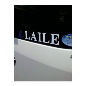 カッティングステッカー タイプA ビートラッシュ レイル 【S105