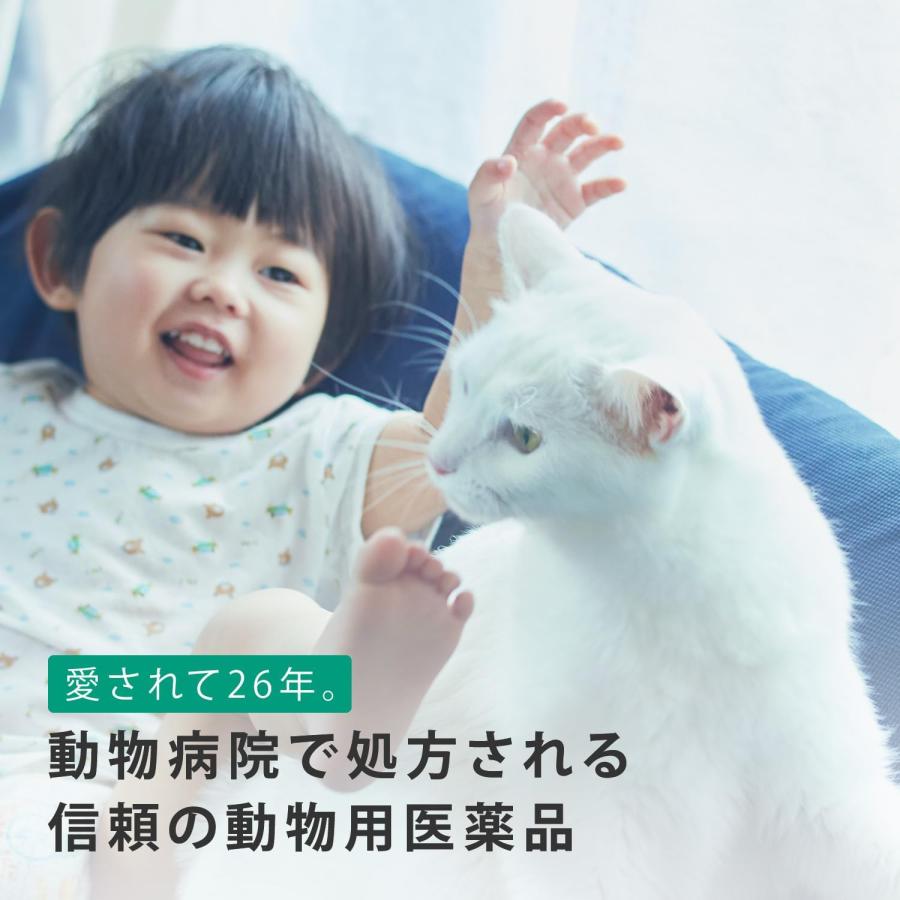 猫用フロントラインプラスキャット 6本 6ピペット 動物用医薬品｜lakes00｜03