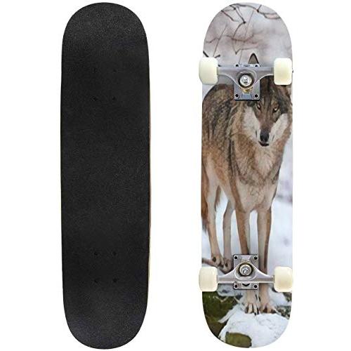 クラシックコンケーブスケートボードグレーウルフ、Canis Lupusロングボードメイプルデッキエクストリームスポーツ、アウトドアダブルキックトリック初心者 : b086cyvfx7 : laketoya
