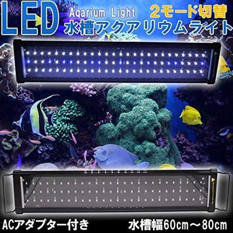 格安 Wellvie 水槽用照明 アクアリウムライト Led600 60cm 80cm Ledライト 白 青 点灯モード切替可能 ライトリフト 新版 Www Sei Ba Gov Br