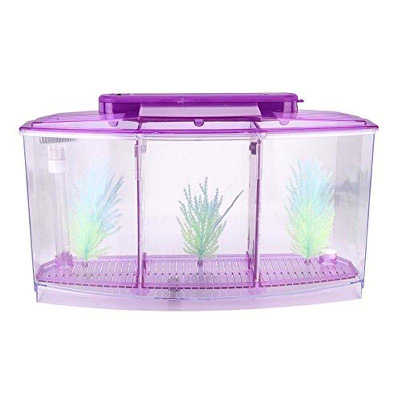 メーカー直売 レイアウト用品 ミニアイソレーションデスクトップ透明飼育水槽 アクリルフィッシュ水族館 小魚用水切り替えバルブ ベタ用 Ledライト Purple