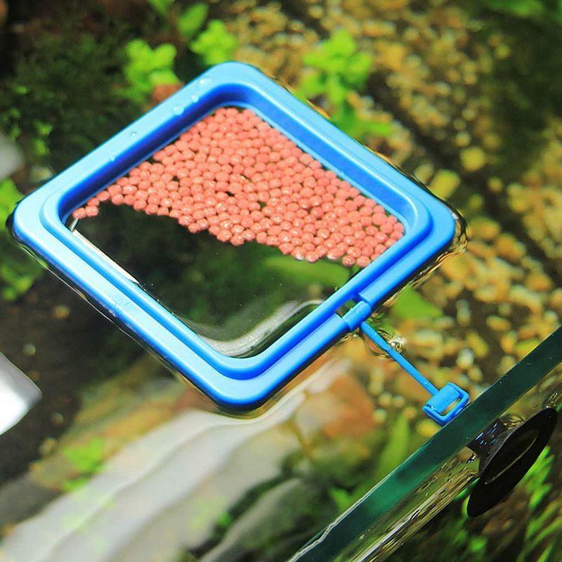3個入 餌拡散防止リング エサ拡散防止 フィーダーカップ 水族館 飼育用 餌拡散防止リング 摂食ツール 水族館用 湾曲したクリップ付き :20220507182302-00363:Laki-t2cd - 通販 - Yahoo!ショッピング 3個入 餌拡散防止リング エサ拡散防止 フィーダーカップ 水族館 飼育用 餌拡散防止リング 摂食ツール 水族館用 湾曲したクリップ付き :20220507182302-00363:Laki-t2cd - 通販 - Yahoo!ショッピング
