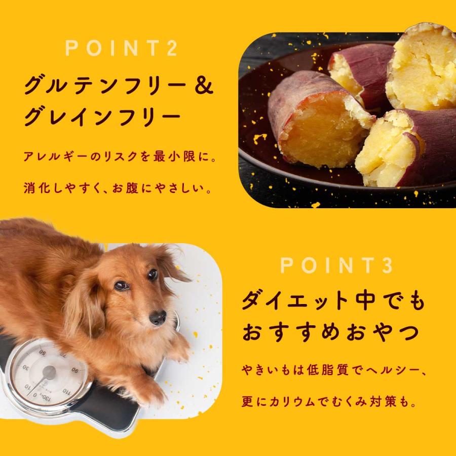完全無添加 国産 犬 おやつ やきいもキューブ 個包装 70g ドッグフード さつまいも 芋 トッピング ギフト プレゼント オヤツ 大型犬 中型犬 小型犬 超小型犬 |  | 06