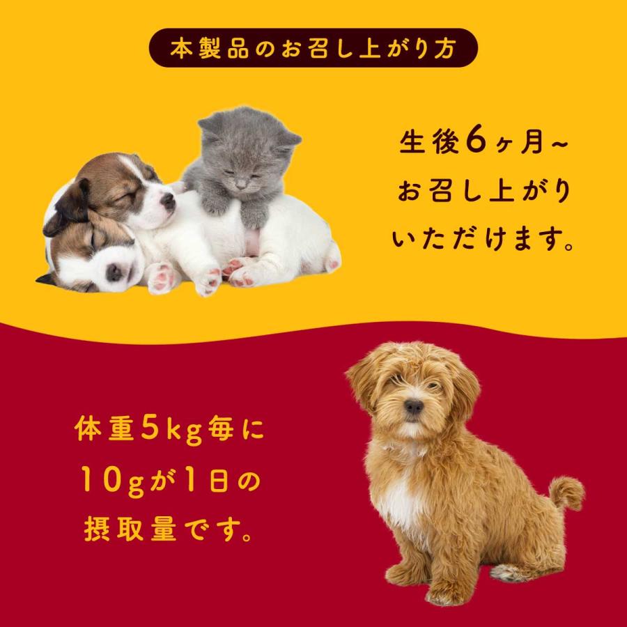 完全無添加 国産 犬 おやつ やきいもキューブ 個包装 70g ドッグフード さつまいも 芋 トッピング ギフト プレゼント オヤツ 大型犬 中型犬 小型犬 超小型犬 |  | 08