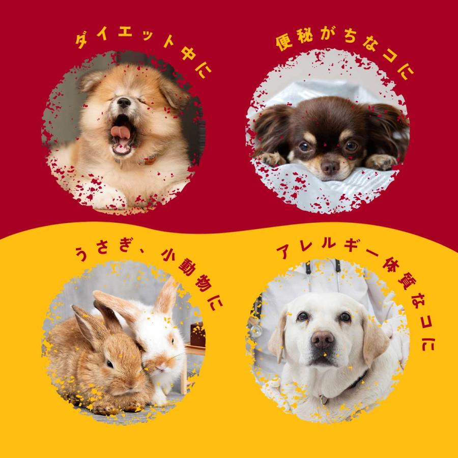 完全無添加 国産 犬 おやつ やきいもキューブ 個包装 70g ドッグフード さつまいも 芋 トッピング ギフト プレゼント オヤツ 大型犬 中型犬 小型犬 超小型犬 |  | 09