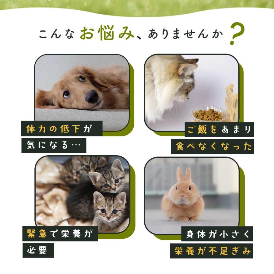 無添加 ヤギ プロテイン パウダー オランダ産 100g オーガニック製法 高たんぱく ミルク 粉末 犬 猫 小動物 水分補給 プレゼント 老犬 老猫 シニア パピー | ブランド登録なし | 02