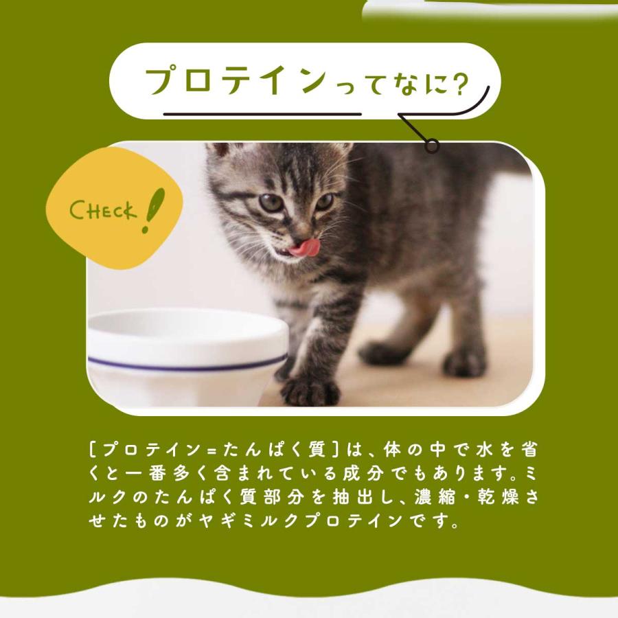 無添加 ヤギ プロテイン パウダー オランダ産 100g オーガニック製法 高たんぱく ミルク 粉末 犬 猫 小動物 水分補給 プレゼント 老犬 老猫 シニア パピー | ブランド登録なし | 04