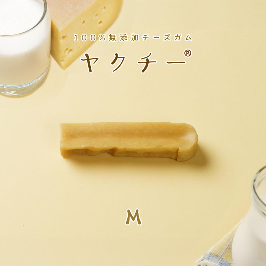 無添加 犬 おやつ ヤクチー ヒマラヤ チーズ 長持ち 硬い ハード