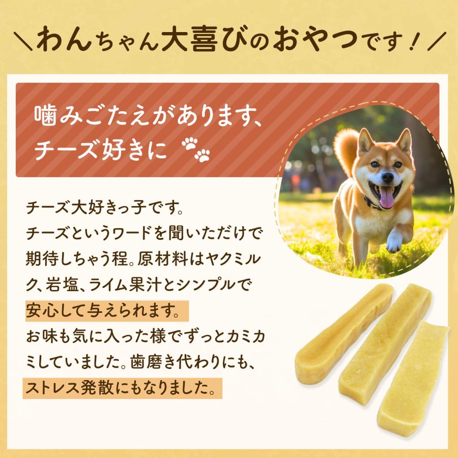 無添加 犬 おやつ ヤクチー ヒマラヤ チーズ 長持ち 硬い ハード