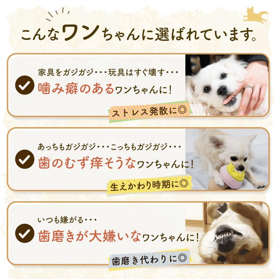 無添加 犬 おやつ ヤクチー ヒマラヤ チーズ 長持ち 硬い ハード