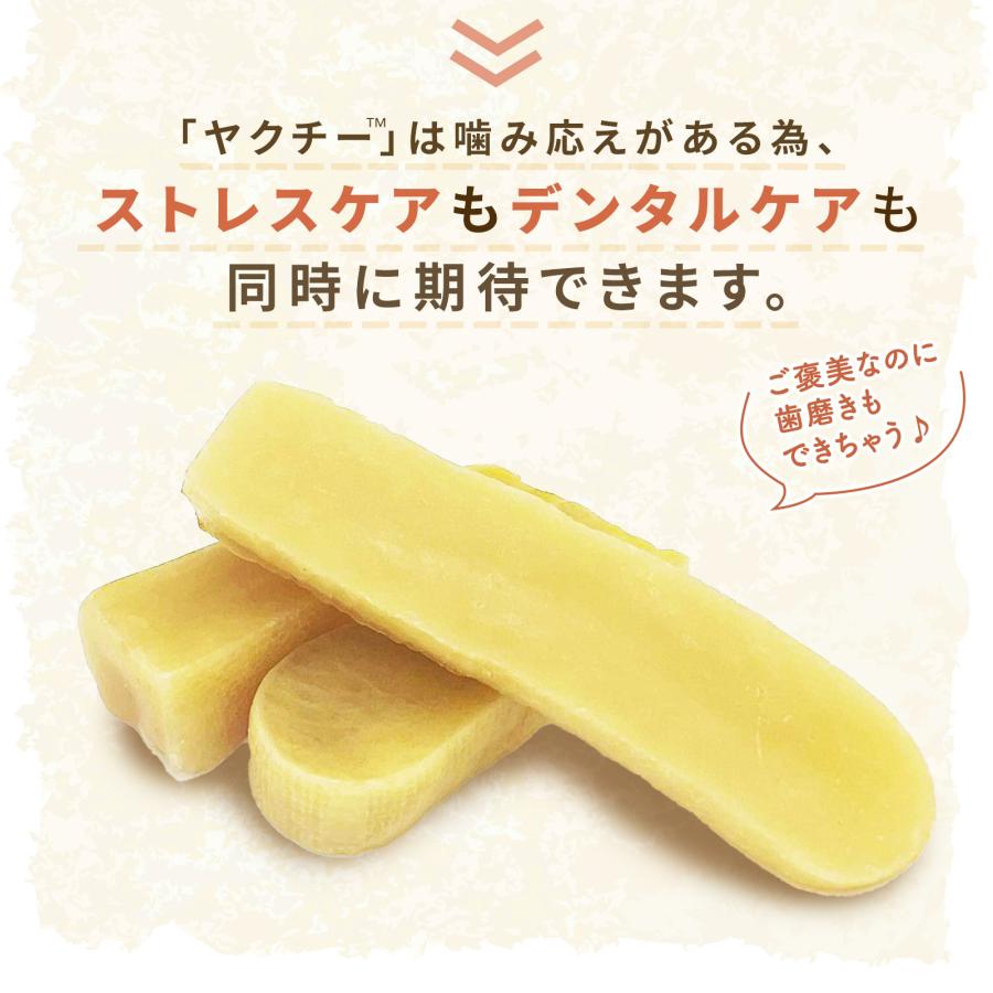 無添加 犬 おやつ ヤクチー ヒマラヤ チーズ 長持ち 硬い ハード