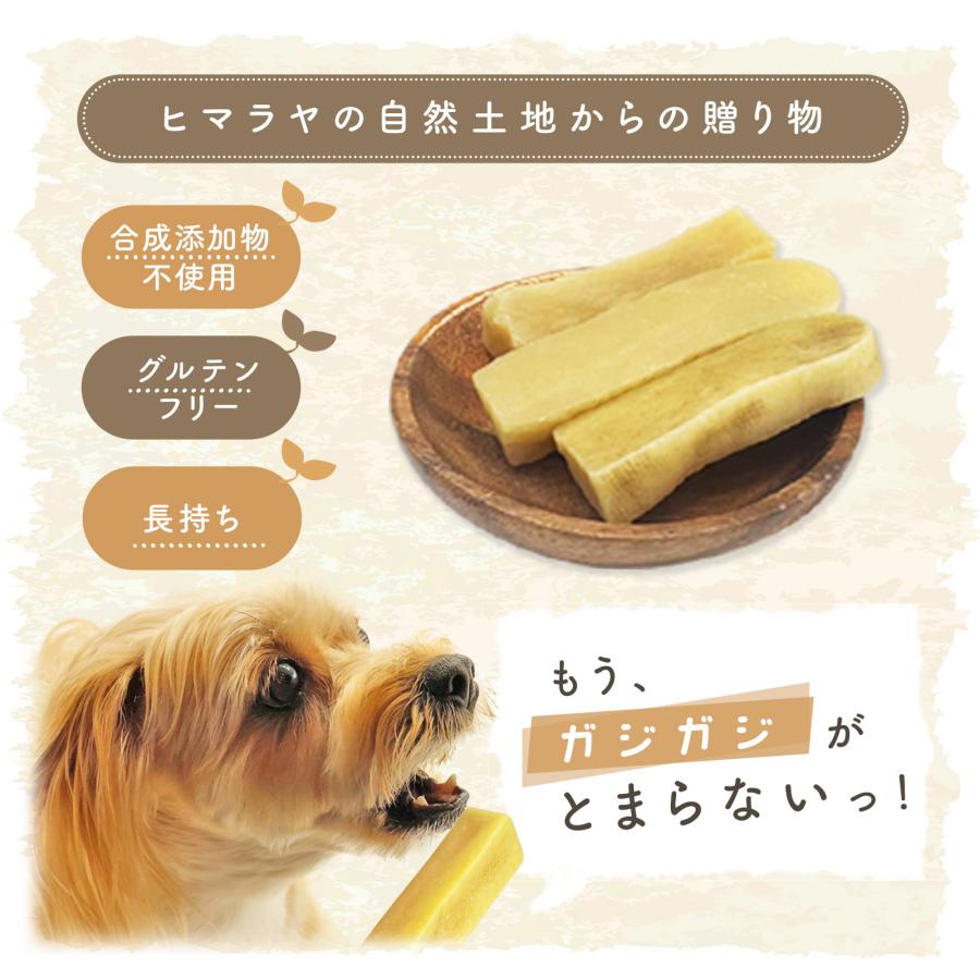 無添加 犬 おやつ ヤクチー ヒマラヤ チーズ 長持ち 硬い ハード