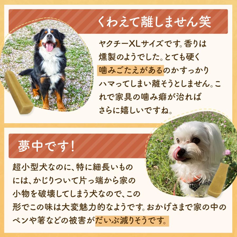 無添加 犬 おやつ ヤクチー ヒマラヤ チーズ 長持ち 硬い ハード