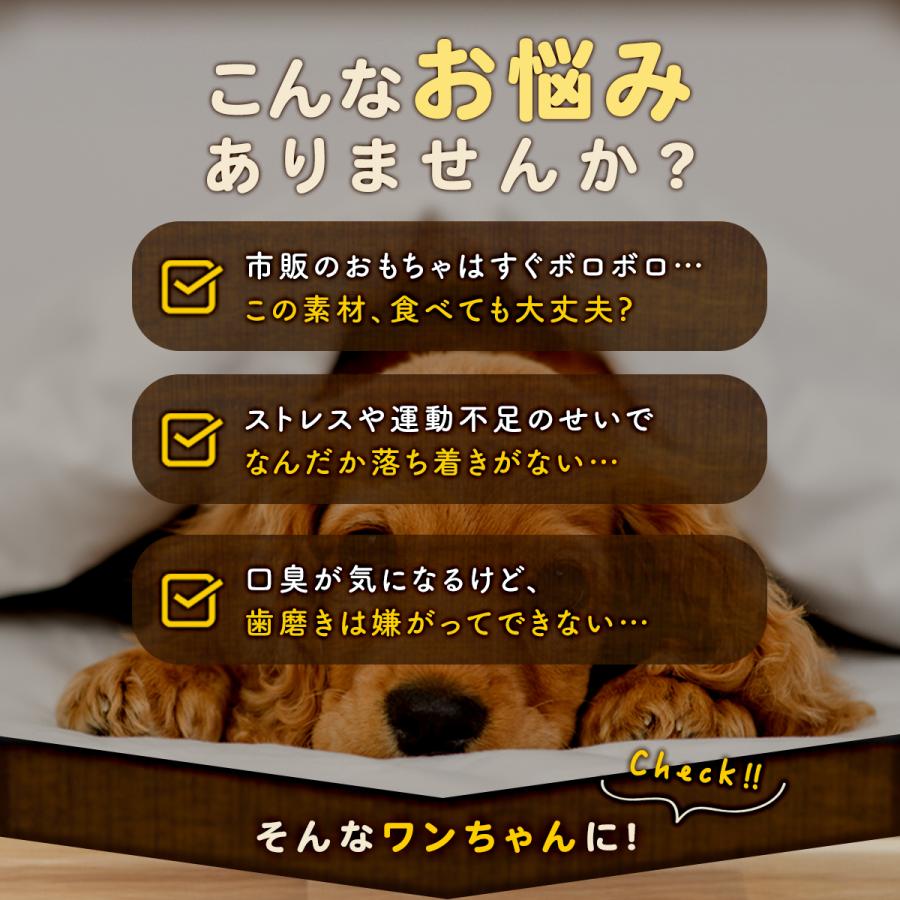 犬 天然木 おもちゃ 噛む コーヒーウッド 木 ささくれにくい かじり木 怪我防止 玩具 硬い 超小型犬 小型犬 ドッグトイ デンタルケア Sサイズ | ブランド登録なし | 02