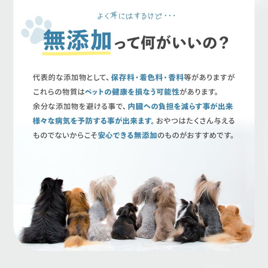 犬 おやつ 無添加 国産 マグロキューブ 個包装 50g ドッグフード トッピング ギフト プレゼント オヤツ 大型犬 中型犬 小型犬 | ブランド登録なし | 04