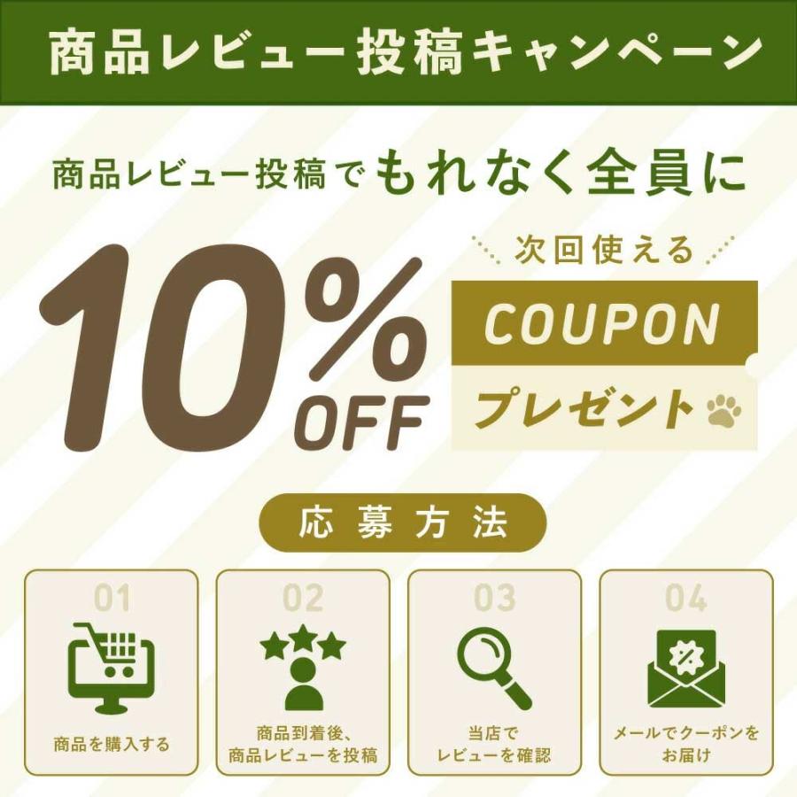 犬 おやつ 無添加 国産 馬肉キューブ 個包装 30g ドッグフード トッピング ギフト プレゼント オヤツ 大型犬 中型犬 小型犬 | ブランド登録なし | 11