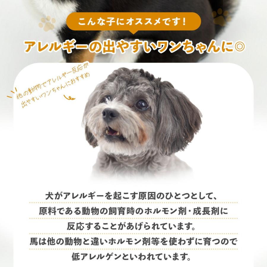 犬 おやつ 無添加 国産 馬肉キューブ 個包装 30g ドッグフード トッピング ギフト プレゼント オヤツ 大型犬 中型犬 小型犬 | ブランド登録なし | 03