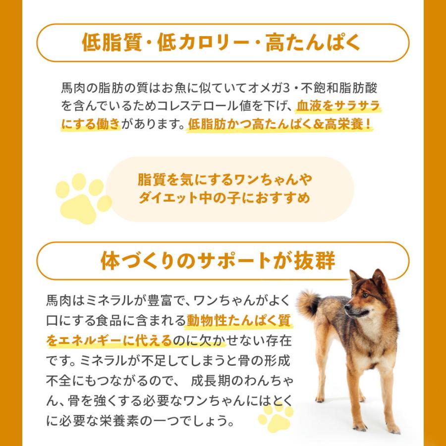 犬 おやつ 無添加 国産 馬肉キューブ 個包装 30g ドッグフード トッピング ギフト プレゼント オヤツ 大型犬 中型犬 小型犬 | ブランド登録なし | 05