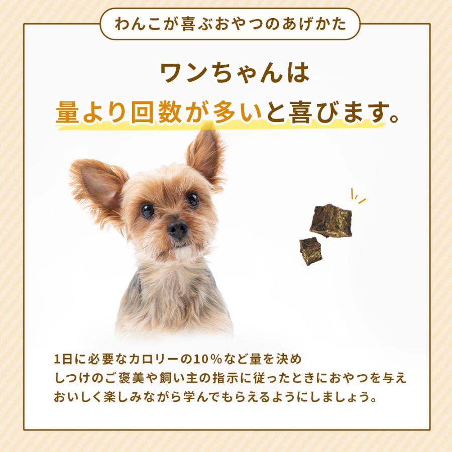 犬 おやつ 無添加 国産 馬肉キューブ 個包装 30g ドッグフード トッピング ギフト プレゼント オヤツ 大型犬 中型犬 小型犬 | ブランド登録なし | 10