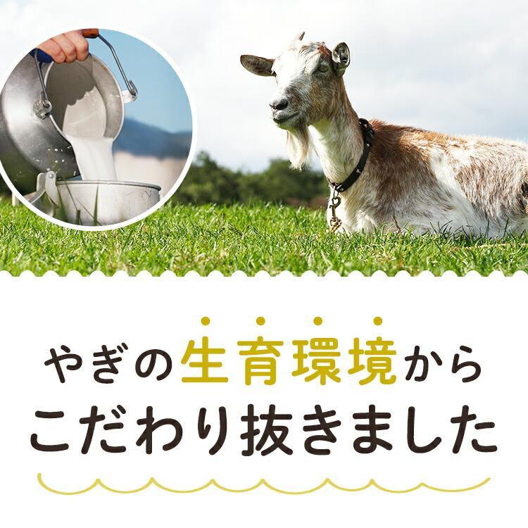 無添加 ヤギミルク パウダー 100g オーガニック製法 粉ミルク 粉末 犬 猫 うさぎ 小動物 おやつ 水分補給 水 ギフト プレゼント 老犬 老猫 シニア パピー | ブランド登録なし | 11