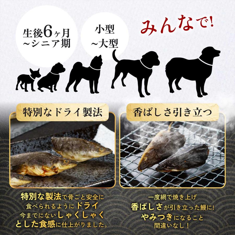 犬 おやつ 無添加 国産 うなぎの頭 鰻 ヘッド 個包装 50g 2袋 さくさく