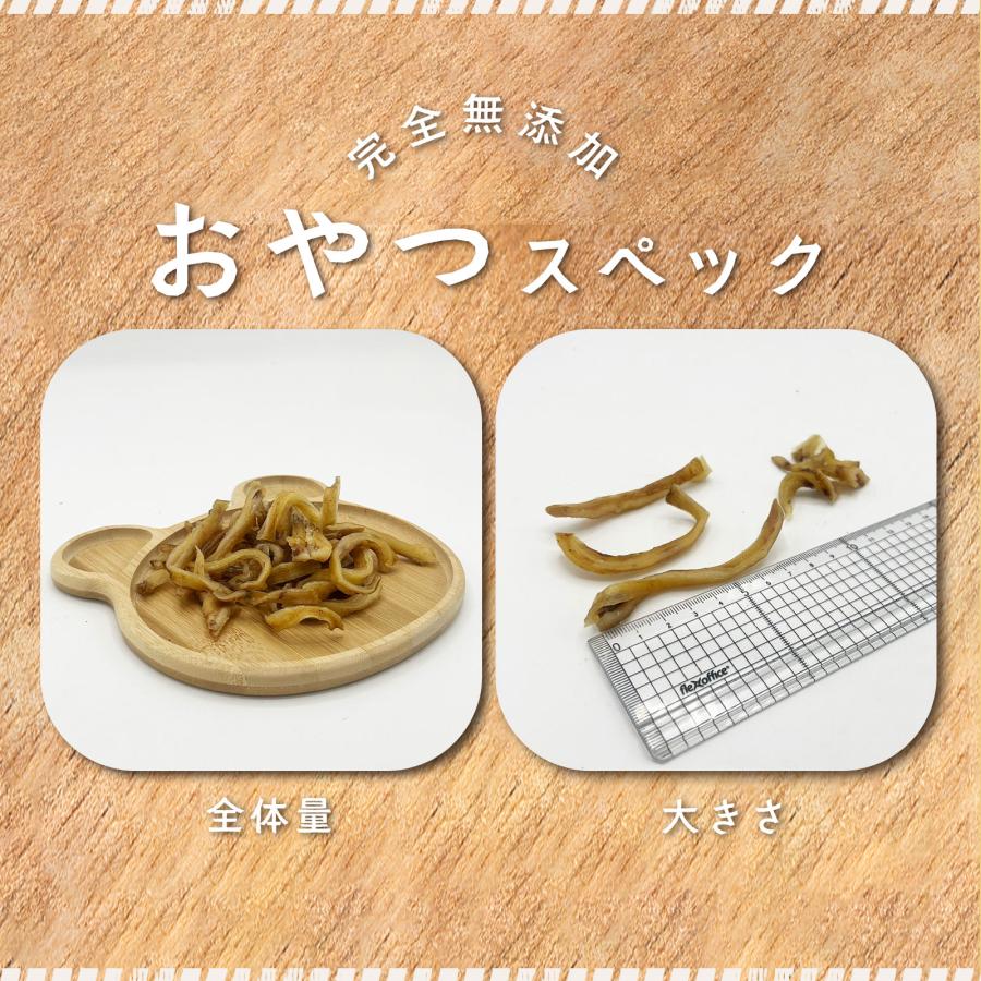 無添加 国産 熊本県産 おやつ かみかみ豚みみ 細切り 豚耳 50g デンタルケア 歯磨き ガム スティック ドッグフード ギフト プレゼント 大型犬 中型犬 小型犬 |  | 04