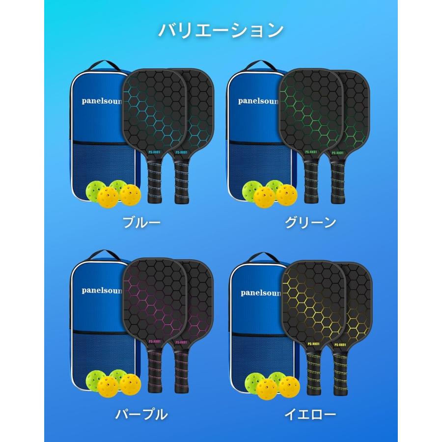 送料無料 ピックルボールパドル ピックルボール セット（パドル2本+