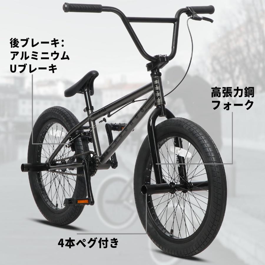 未整備　BACCHUS AVASTA BMX 20インチ AVASTA Bucchus BMX自転車20インチ フリースタイルBMXバイク