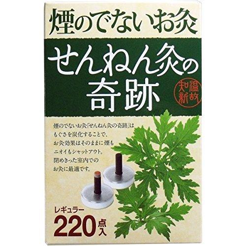 最新の激安 2個セット 煙のでないお灸 せんねん灸の奇跡 レギュラー 2点入 限定製作 Nooitmeergrasmaaien Be