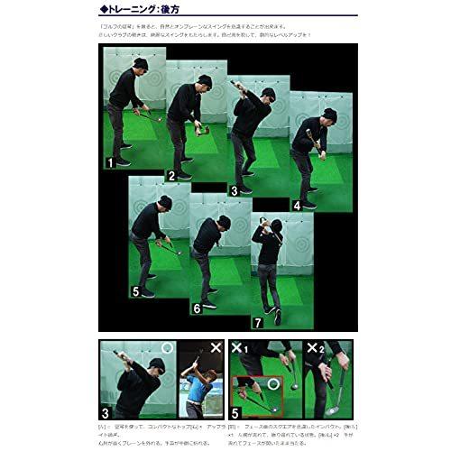 無料配達 即決 送料無料 ゴルフ練習器具 ゴルフの竪琴 スイング練習器具 トッププロも使用中 マーク金 正しいスイングプレーンが身につく その他 Labelians Fr