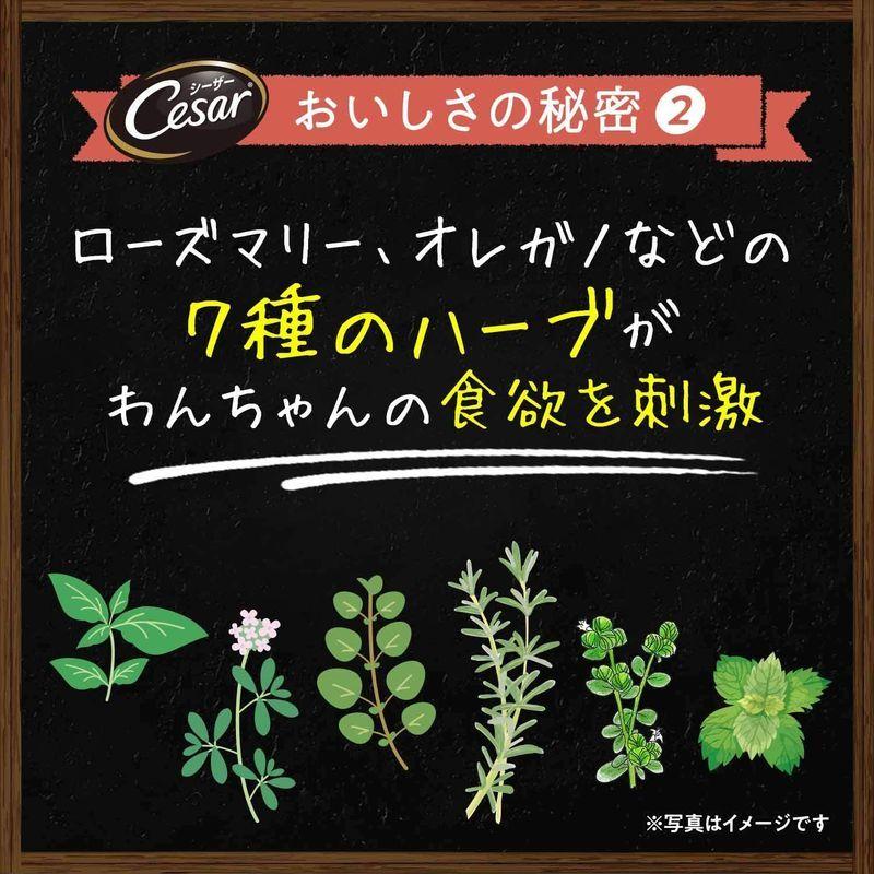 シーザー ドッグフード 自然素材レシピ ビーフ&チーズ・いんげん 成犬用 85グラム (x 112) (ケース販売) ドッグフード 自然素材レシピ ビーフ&チーズ いんげん 成犬用 85グラム ケース販売