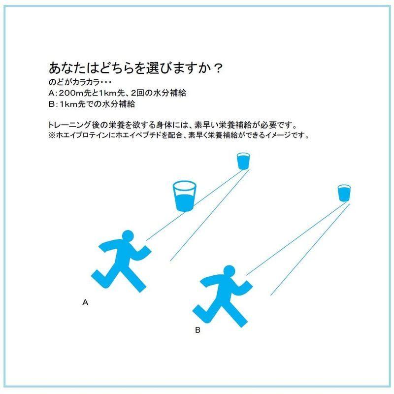 ゴールドジム(GOLDS GYM) CFMホエイプロテイン ミックスベリー風味 2kg GOLDS GYM CFMホエイプロテイン ミックスベリー風味 2kg
