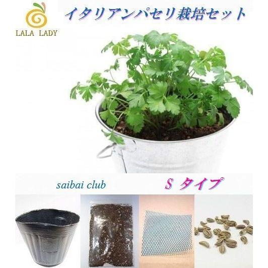 66 Off 栽培クラブ ハーブ イタリアンパセリ 栽培セット Sタイプ
