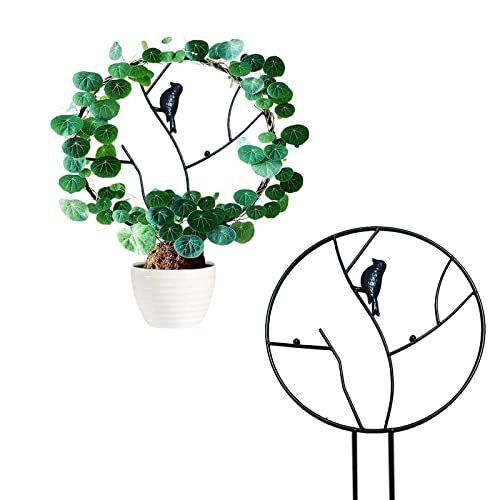 人気上昇中 園芸支柱 支柱パーツ 植物支柱 植物サポート 花ささえ つる性植物 部屋の装飾 Vanow 観葉支柱パックガー ガーデニング用支柱 花支え 農業用 園 Wantannas Go Id